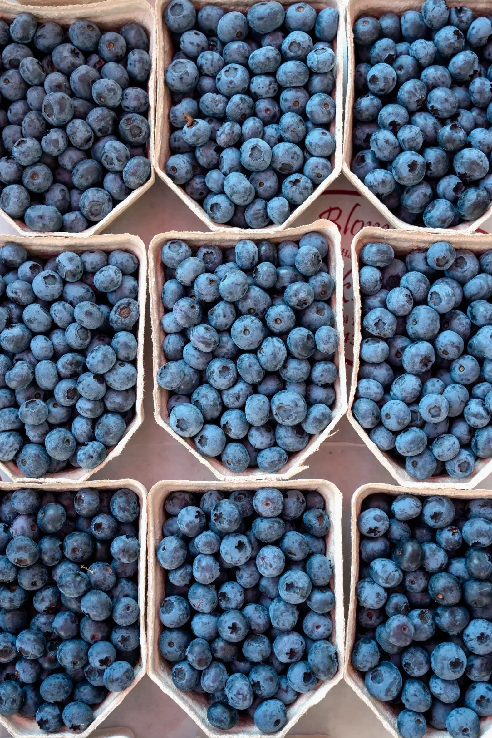 Berry Harvests